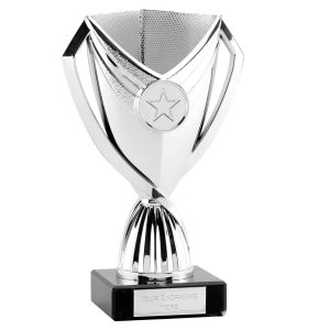 Cape Silver Trophy Cup On A Marble Base