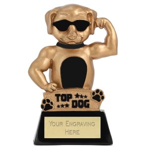 Novelty Top Dog Trophy 12cm (4 3/4")