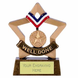 Mini Stars Well Done Award 8cm (3 1/4")