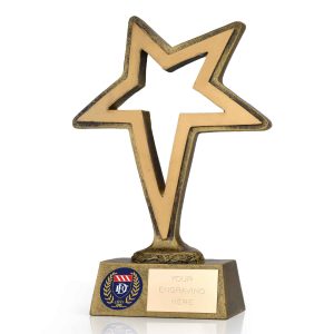 Pinnacle Large Gold Star Trophy 15cm (6")