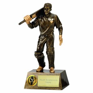 Pinnacle Action 3D Cricket Batsman Trophy