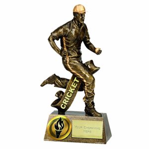 Pinnacle Action 3D Cricket Bowler Trophy