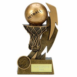 Gold Flash Netball Trophy