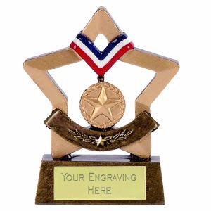 Mini Stars Gold Medal Award