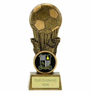 Focus 2D Mini Football Award
