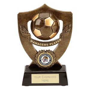 Celebration Shield Series Managers Player Award