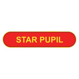 Star Pupil Bar Badge