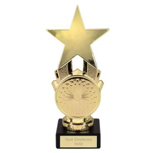 Gold Custom Logo Star Spangled Award Star