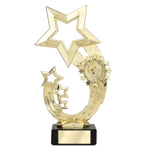 Rising Star Gold Trophy On A Black Plastic Base