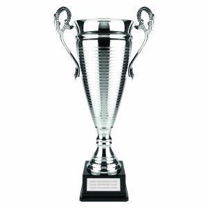 Silver Missile Cup