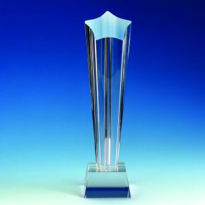 Elite Column Crystal Star Award