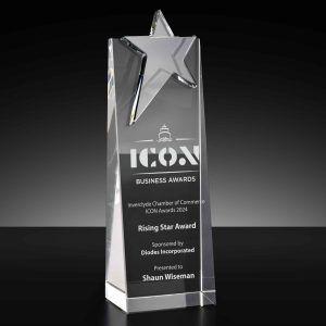 Guide Star Mounted Crystal Star Award