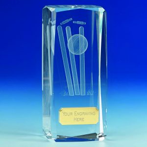 Tower Crystal Cricket Award 11.5cm (4 1/2")