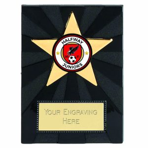Apex Gold Star Self Standing Plastic Plaque 10cm (4")