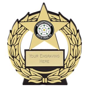 Mega Star Self Standing Plastic Plaque Award 11.5cm (4 1/2")