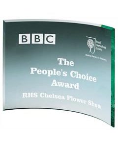 Jade Curve Glass Award