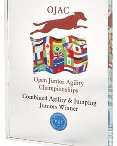Crystal Block Award for Colour Printing (In Presentation Case)