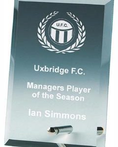 Rectangle Jade Glass Award with Pin Stand