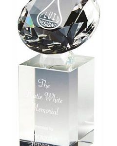 Crystal Diamond Column Award (In Presentation Case)
