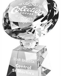 Crystal Diamond Award (In Presentation Case)