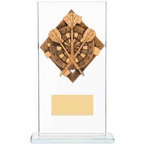 Darts Glass Award