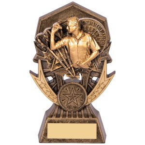 Allstar Male Darts Award