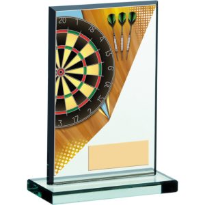 Darts Acrylic Award