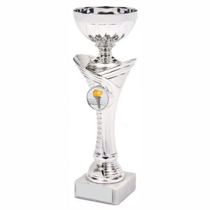 Silver Trophies Cups
