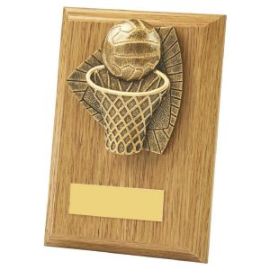 Wood Plaque with Resin Netball Trim
