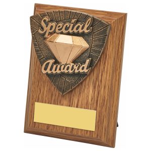 Wood Plaque with Resin Special Award Trim