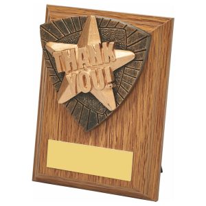 Wood Plaque with Resin Thank You Trim
