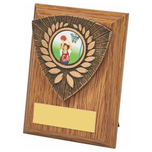 Wood Plaque with Resin Utility Trim