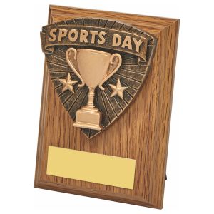 Wood Plaque with Resin Sports Day Trim