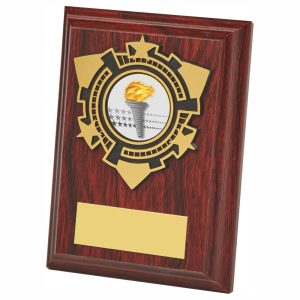 Wood Plaque Award