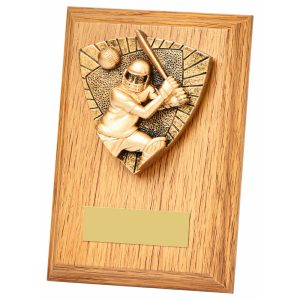 Cricket Batsman Wood Plaque
