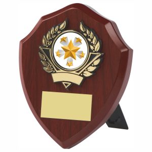 Traditional Shield Award