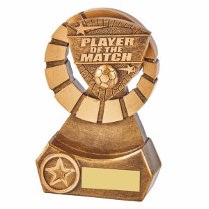 Player of the Match Resin Award