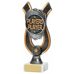 Players Player Award