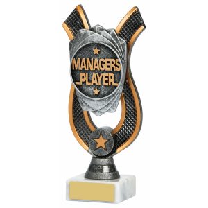 Managers Player Award