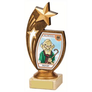 "Old Git" Fun Award