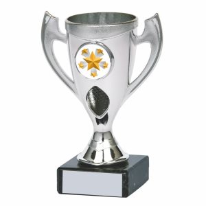 Silver Cups Award