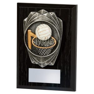 Antique Silver Netball, Black Wood Award