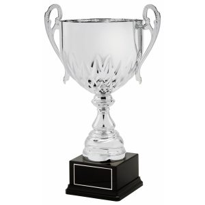 Silver Presentation Cups With Handles