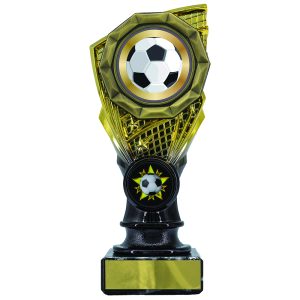 Shard Holder Trophies with Football Trim