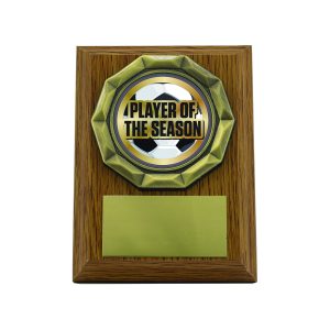 Light Oak Plaque with Player of the Season