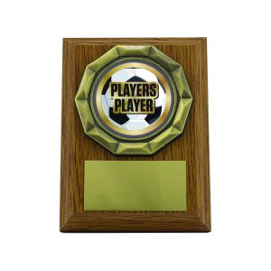 Light Oak Plaque with Players Player Trim