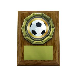 Light Oak Plaque with Football Trim