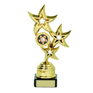 Gold Star Trophies