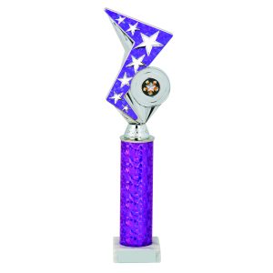 Purple Zig Zag Holder Award