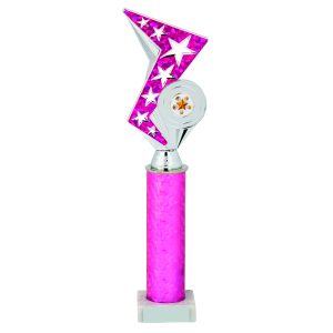 Silver/Pink Zig Zag Holder Award
